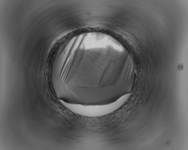 X0000097890920200804041306