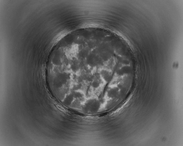 X0000097890921200804041306