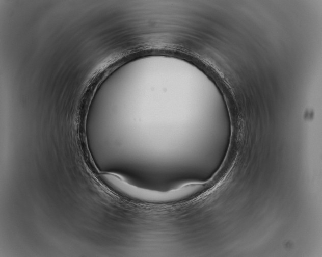 X0000097890922200804041306