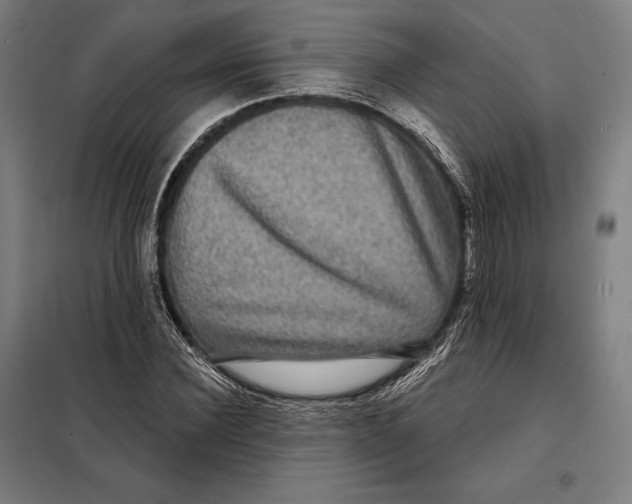 X0000097890924200804041306