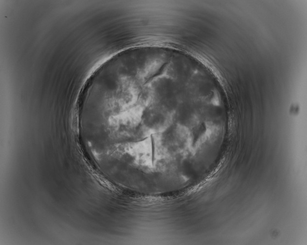 X0000097890925200804041306