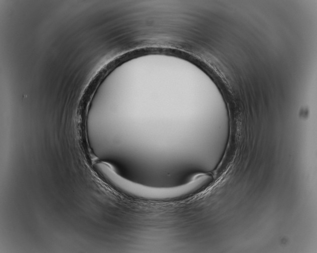 X0000097890926200804041306