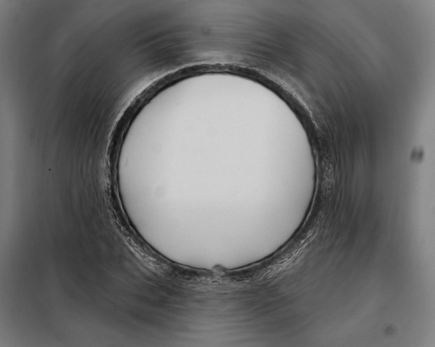 X0000097890927200804041306