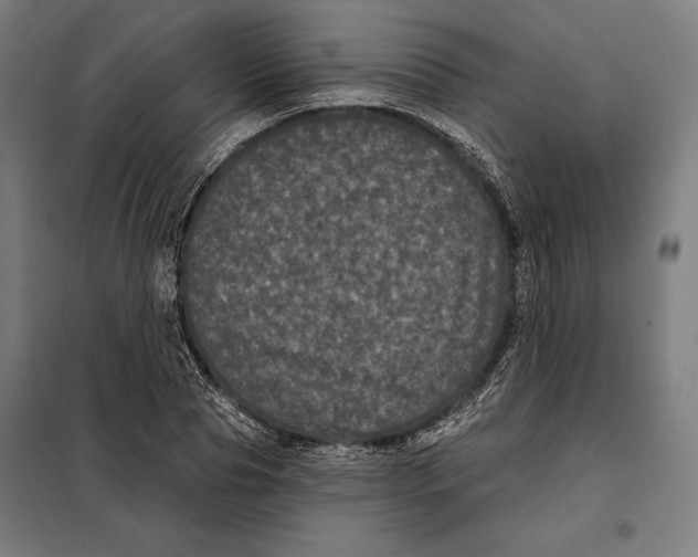 X0000097890929200804041306