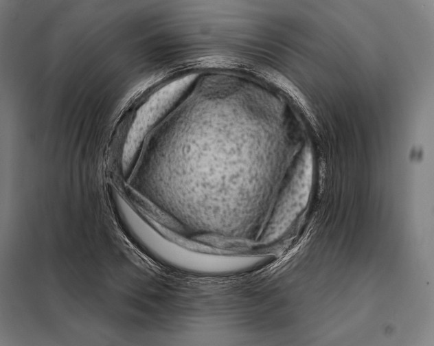 X0000097890930200804041306