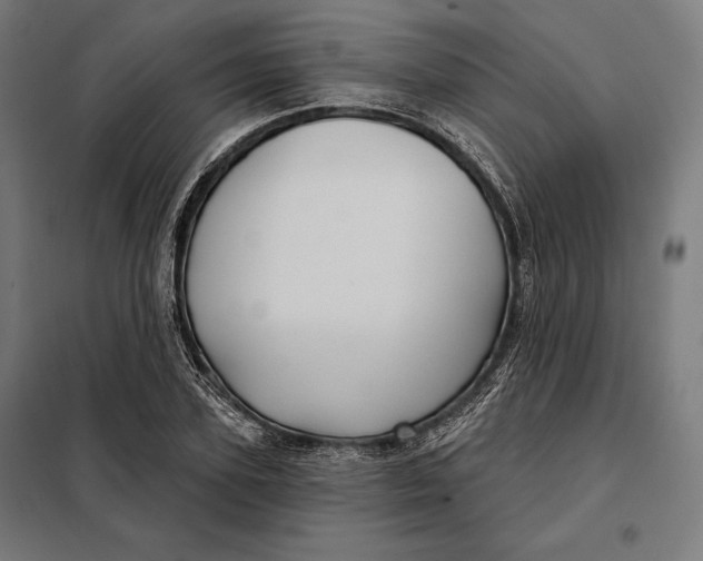 X0000097890931200804041306