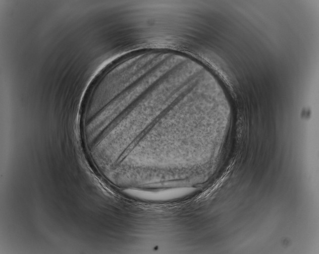 X0000097890932200804041306