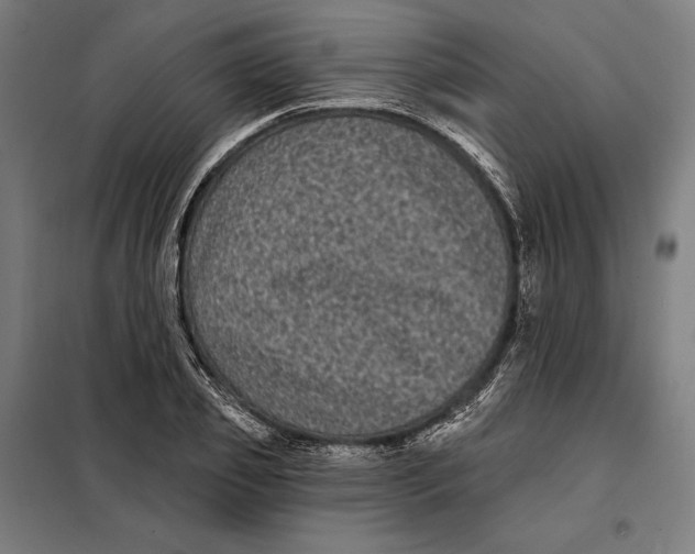 X0000097890933200804041306