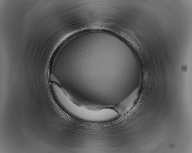 X0000097890934200804041306