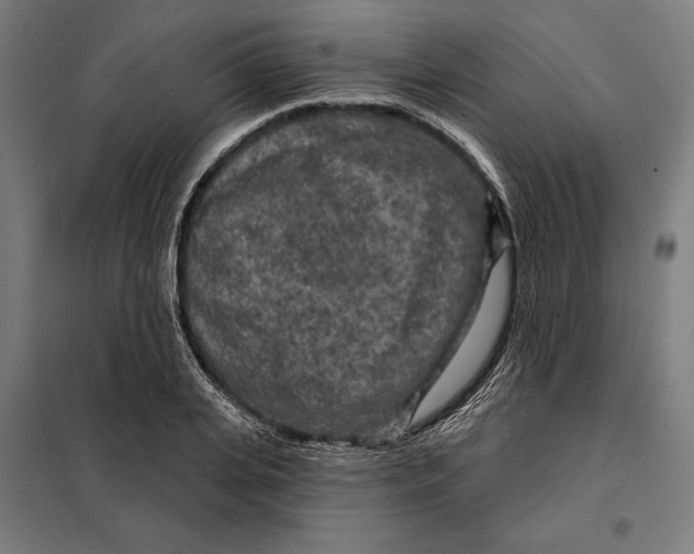 X0000097890935200804041306