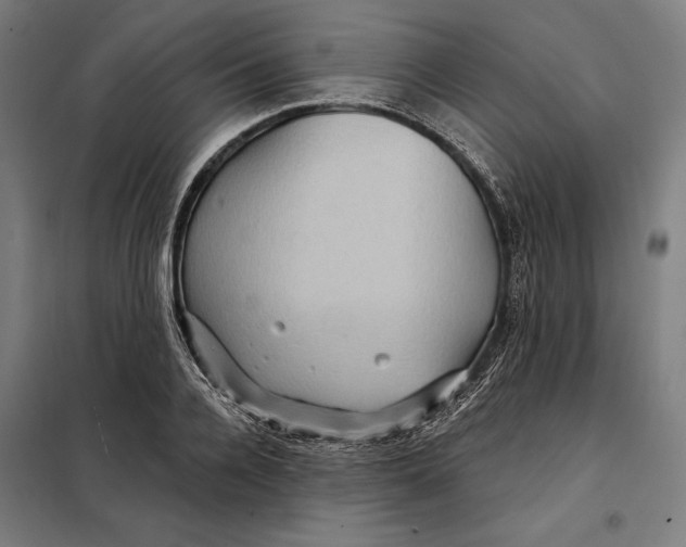 X0000097890936200804041306