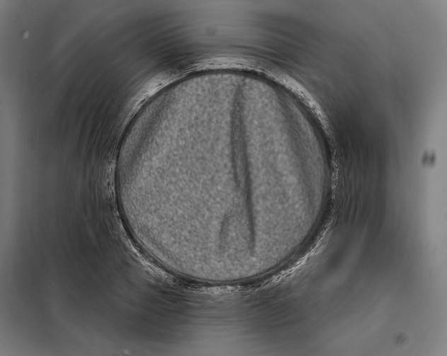 X0000097890937200804041306