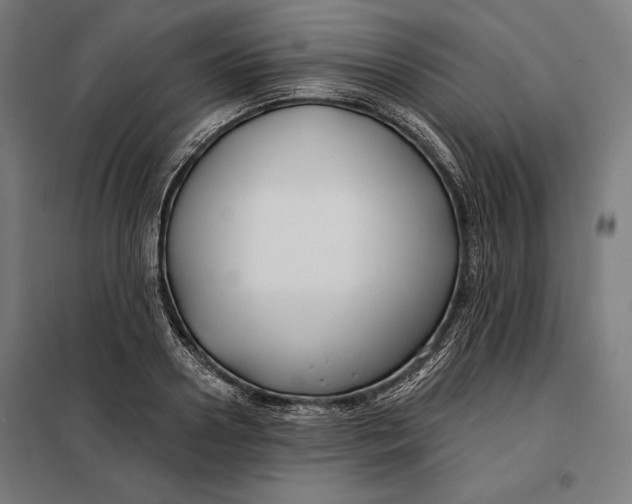 X0000097890938200804041306