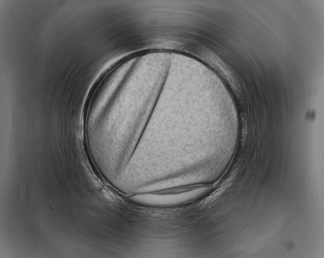 X0000097890940200804041307