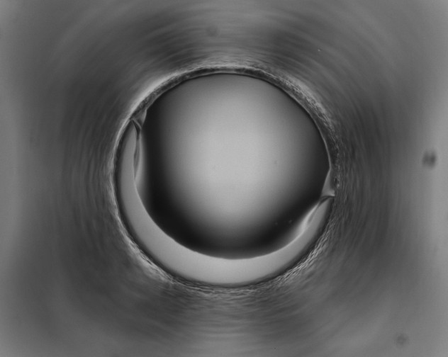 X0000097890942200804041307