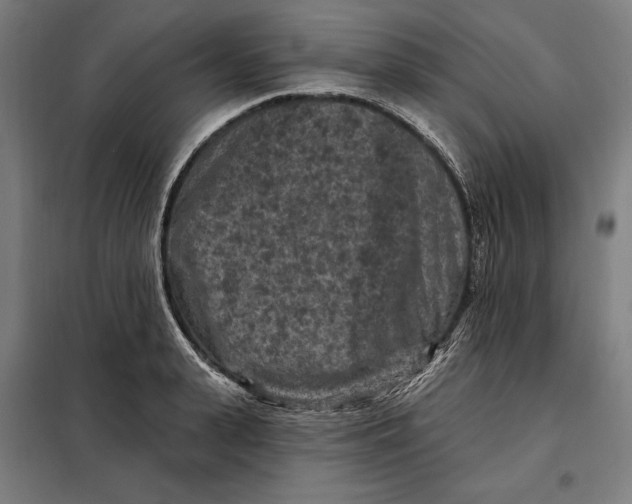 X0000097890943200804041307