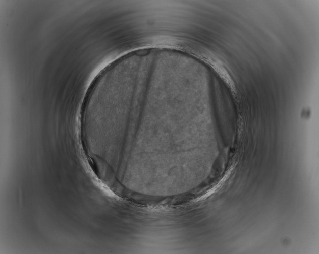 X0000097890944200804041307