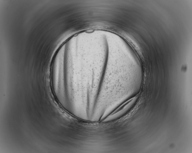 X0000097890948200804041307