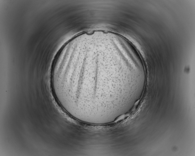 X0000097890949200804041307