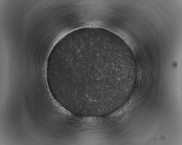 X0000097890950200804041307