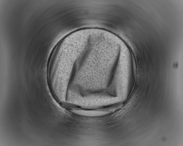 X0000097890951200804041307