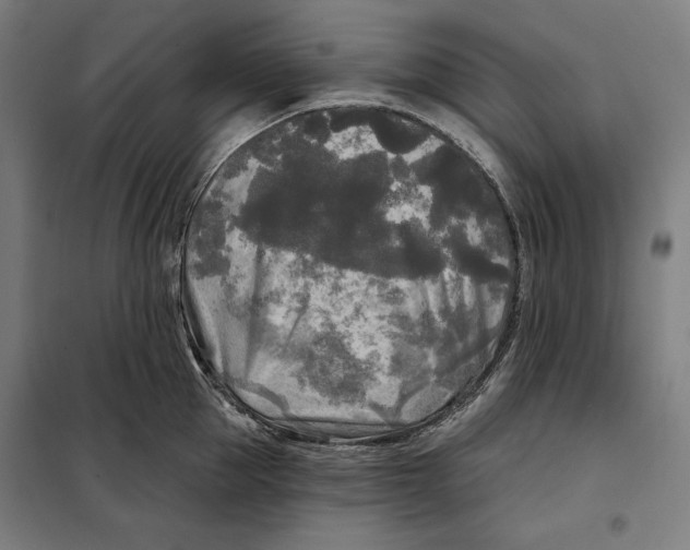 X0000097890953200804041307