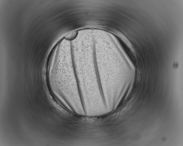 X0000097890955200804041307