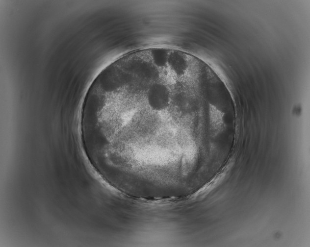 X0000097890957200804041307