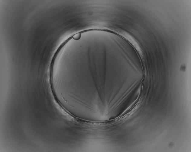 X0000097890958200804041307