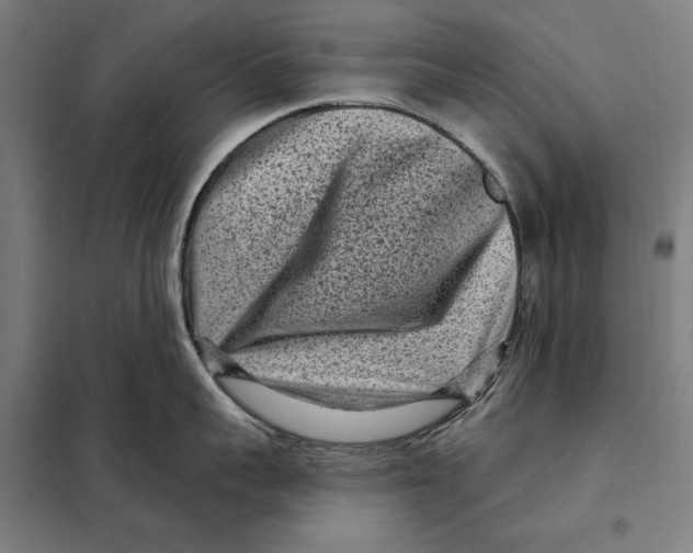 X0000097890959200804041307