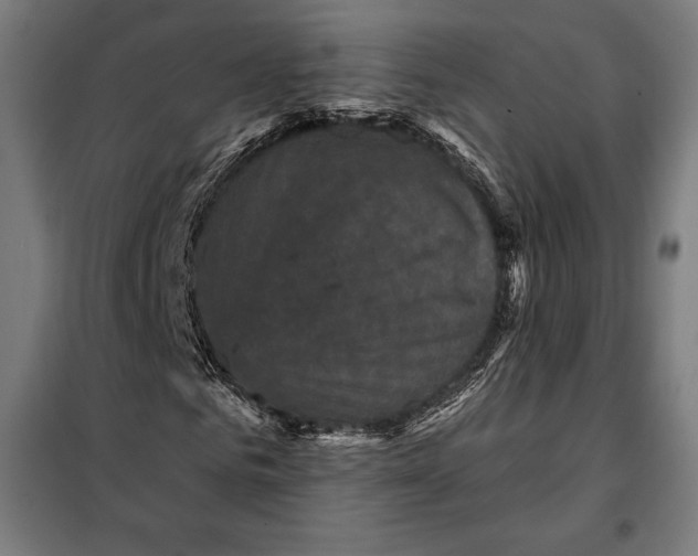 X0000097890961200804041306