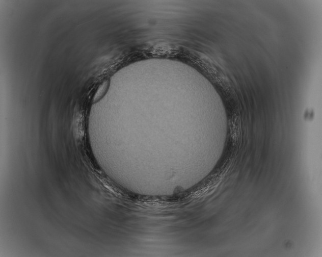 X0000097890962200804041306