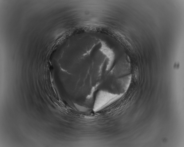 X0000097890964200804041306