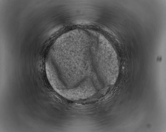 X0000097890966200804041306