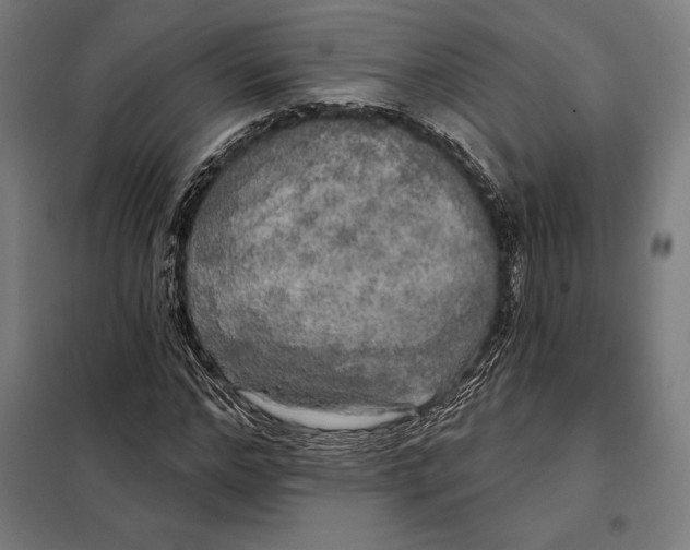 X0000097890968200804041306