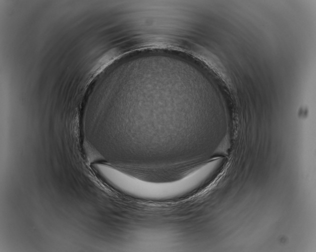 X0000097890969200804041306