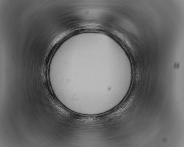 X0000097890970200804041306