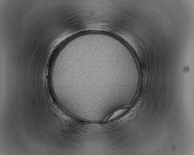 X0000097890971200804041306