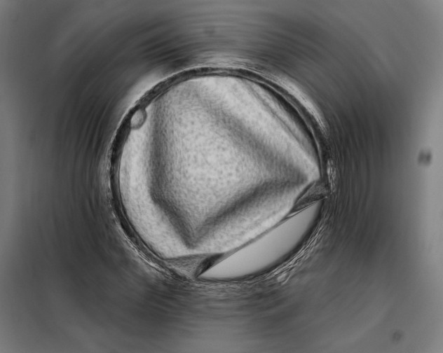 X0000097890972200804041306