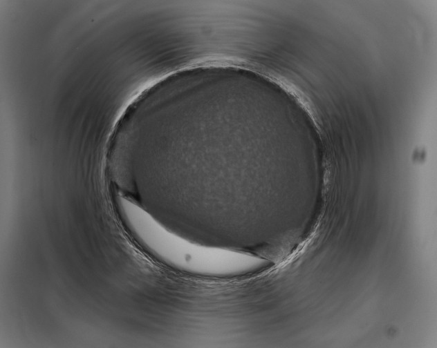 X0000097890973200804041306