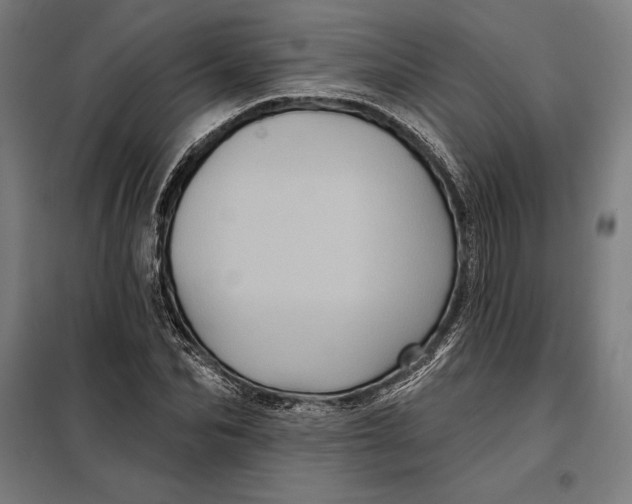 X0000097890974200804041306