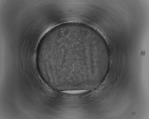 X0000097890975200804041306