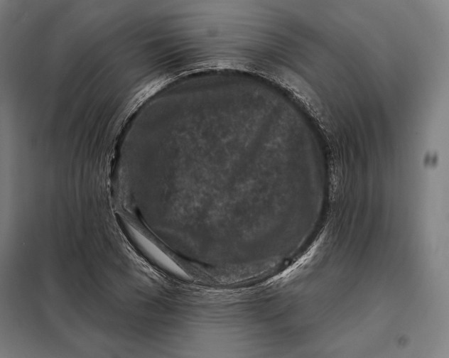 X0000097890977200804041306