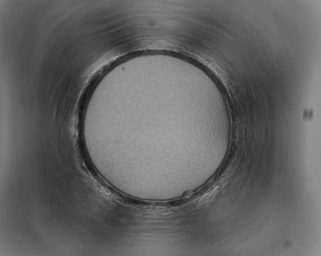 X0000097890979200804041306