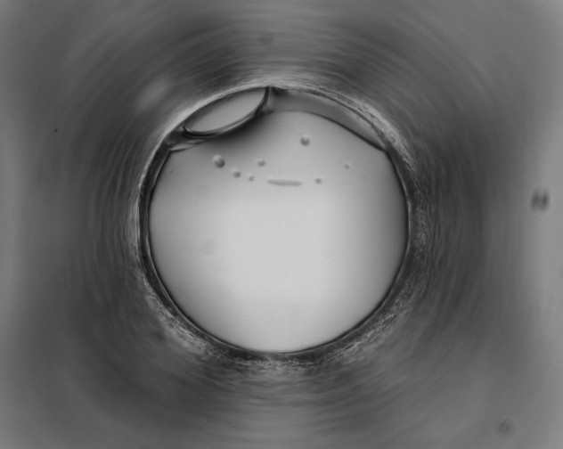 X0000097890980200804041306