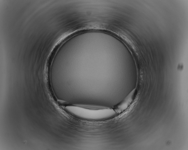 X0000097890981200804041306