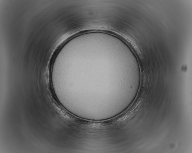 X0000097890982200804041306