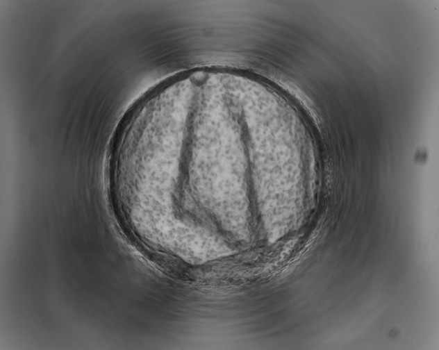 X0000097890983200804041306