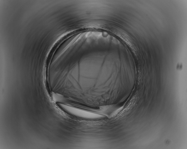 X0000097890984200804041306