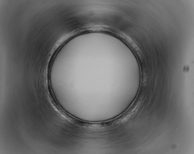 X0000097890986200804041306